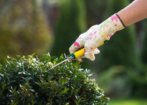 Tree surgeons website cookie policy overview
