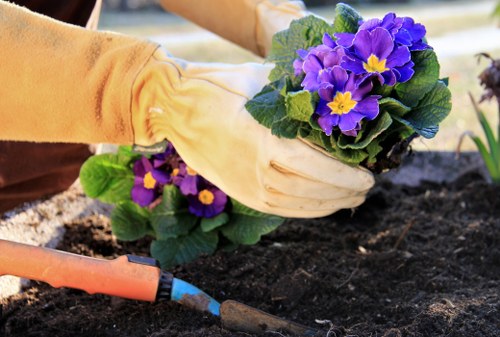 Cookie settings and policy information for a tree surgery site