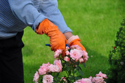 Protective PPE used by Camdentown tree surgeons