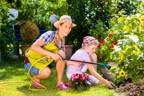 Healthy landscaped trees maintained by Camdentown tree surgeons
