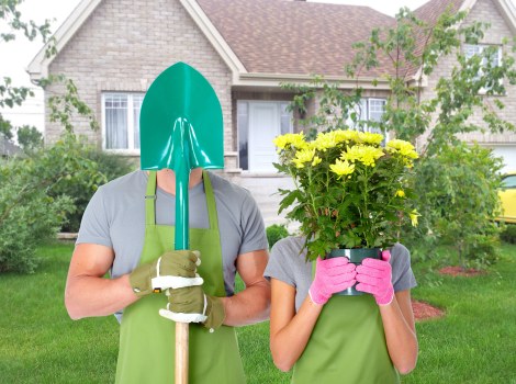 SSL-encrypted payment protection for tree surgery services