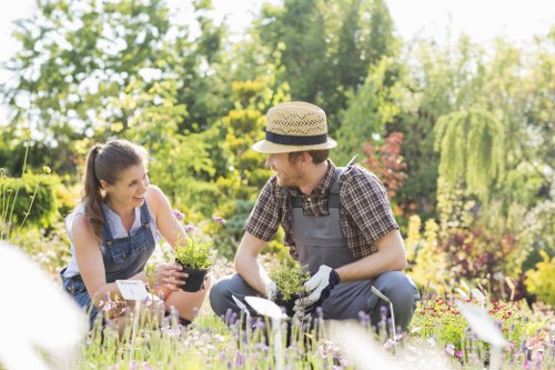 Trusted secure payment options for arborist services